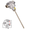 RTD01 Temperature probe PT100 with head and plain bulb in stainless steel AISI 316 RTD01 Temperature probe PT100 with head and plain bulb in stainless steel AISI 3