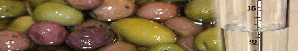 hydrometers for brines, sulfates, caustic potash or bee food