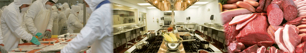 termometro digital para procesamiento de alimentos y cocina profesional