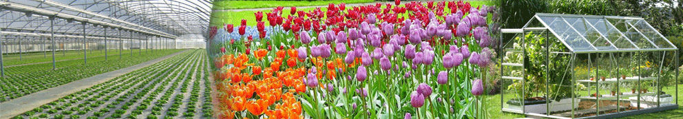 termómetro analógico de tierra para su uso en invernaderos, jardines o plantaciones de cualquier tipo